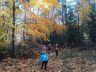 Jesienna wycieczka do lasu