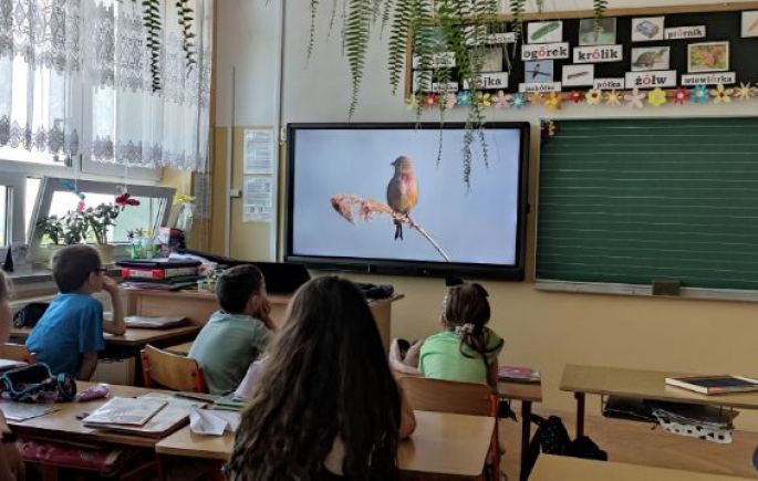 Co wiemy o otaczającej nas przyrodzie - Ptaki