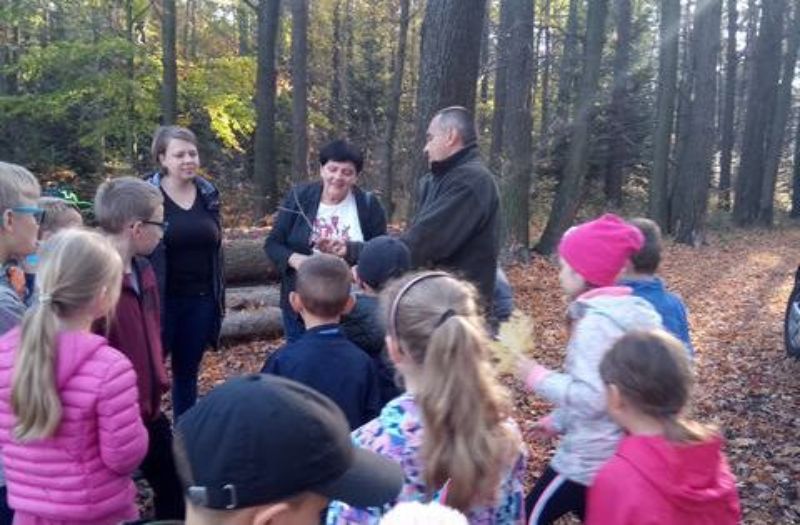 Jesień w lesie - wycieczka edukacyjna